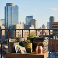 Balcony food-growing kit with grow bags, seed packets and herbs on a sunny urban balcony